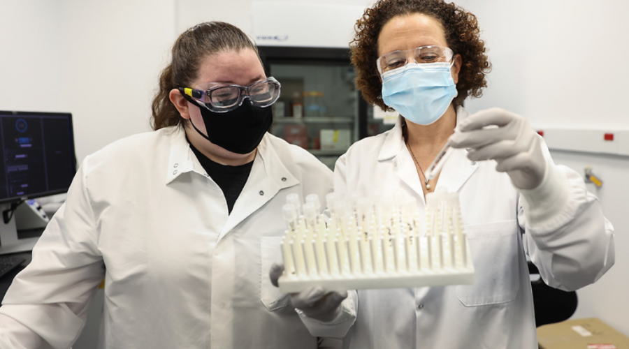 Two researchers in a lab at the Department of Microbiology, Immunology and Molecular Genetics